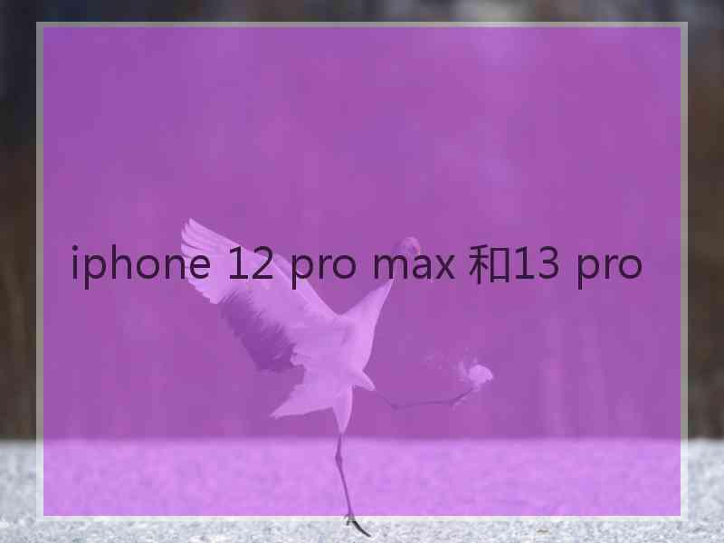 iphone 12 pro max 和13 pro