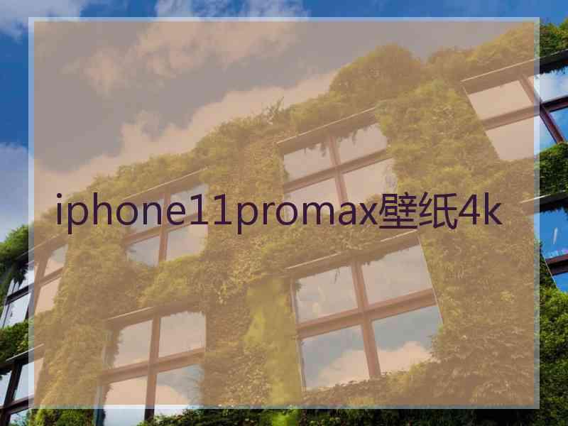 iphone11promax壁纸4k