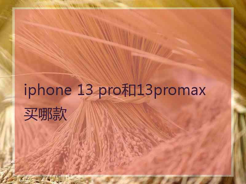 iphone 13 pro和13promax买哪款