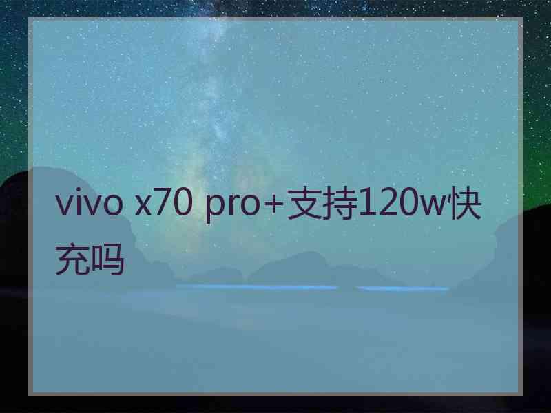 vivo x70 pro+支持120w快充吗