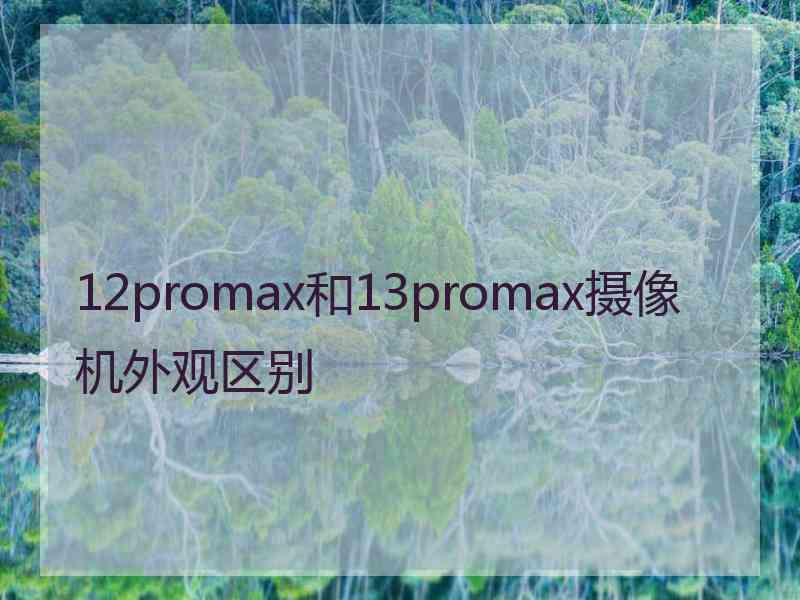 12promax和13promax摄像机外观区别