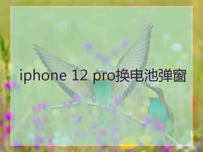 iphone 12 pro换电池弹窗