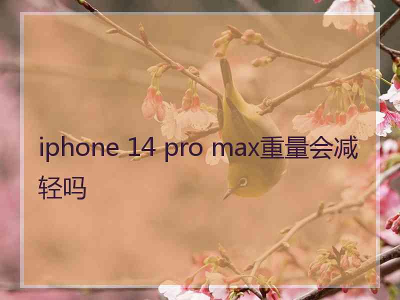 iphone 14 pro max重量会减轻吗