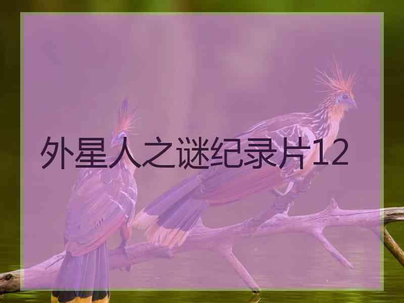 外星人之谜纪录片12