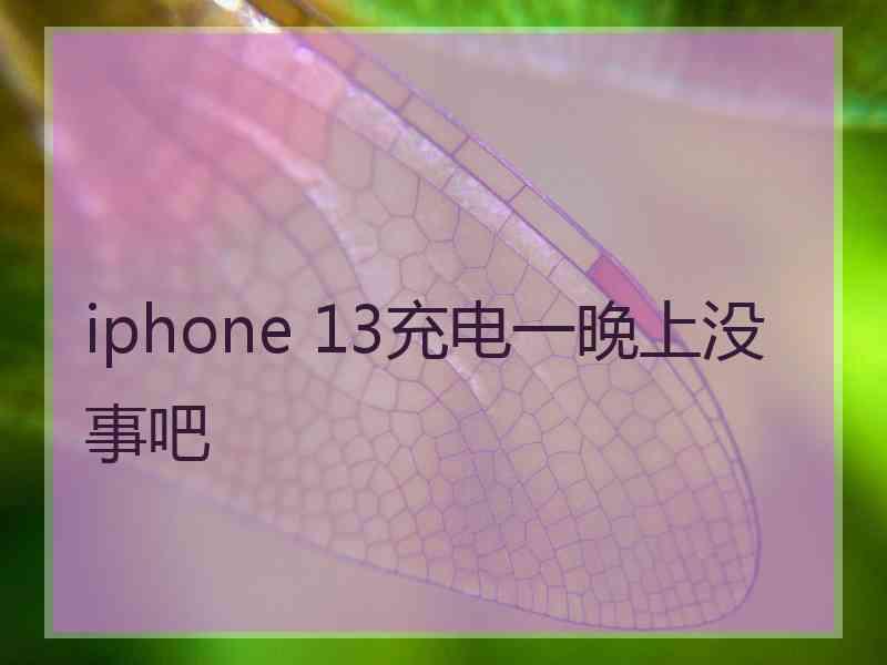 iphone 13充电一晚上没事吧