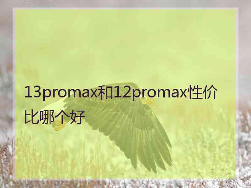 13promax和12promax性价比哪个好