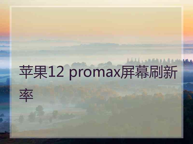 苹果12 promax屏幕刷新率