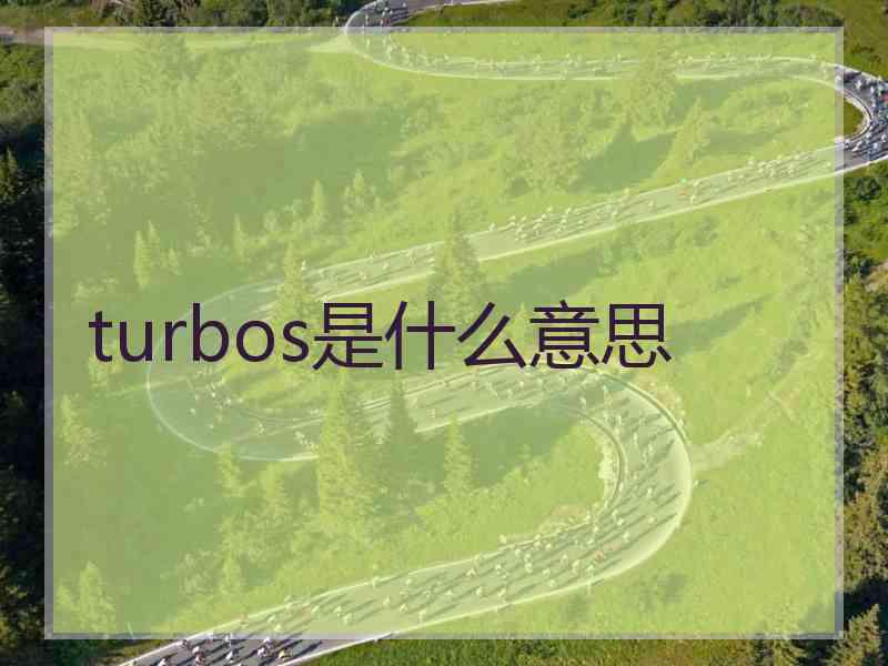 turbos是什么意思