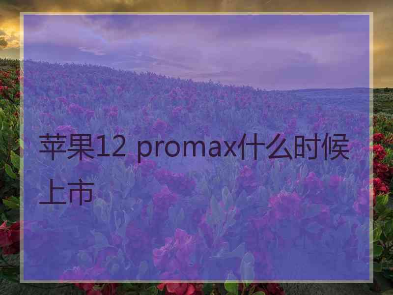 苹果12 promax什么时候上市