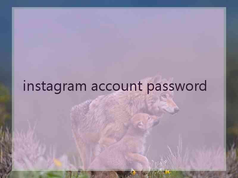 instagram account password