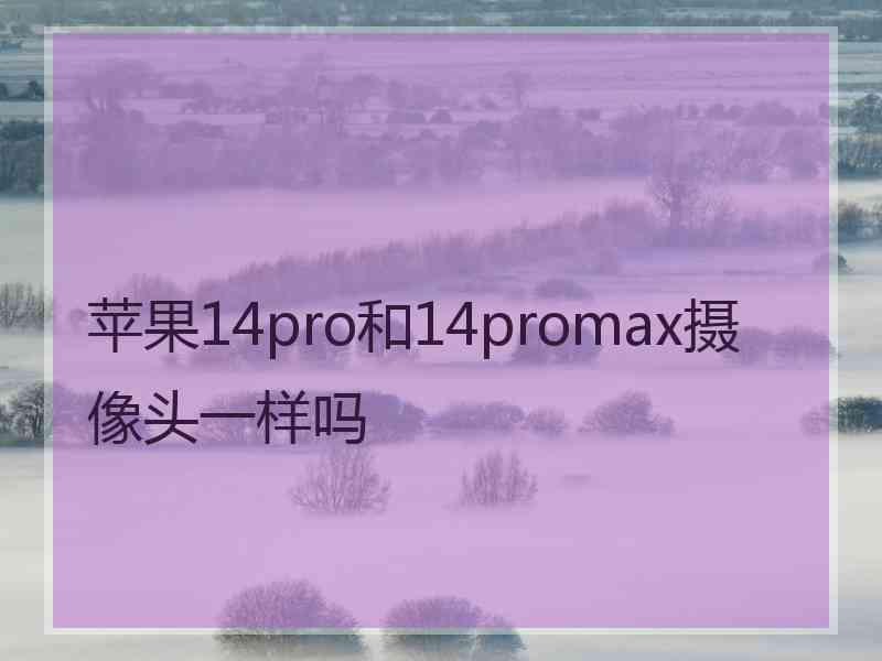 苹果14pro和14promax摄像头一样吗