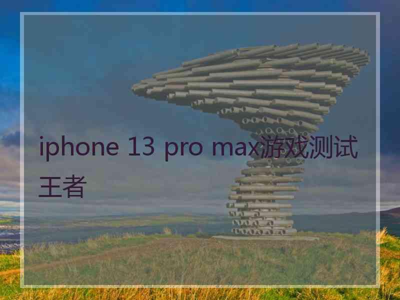 iphone 13 pro max游戏测试王者