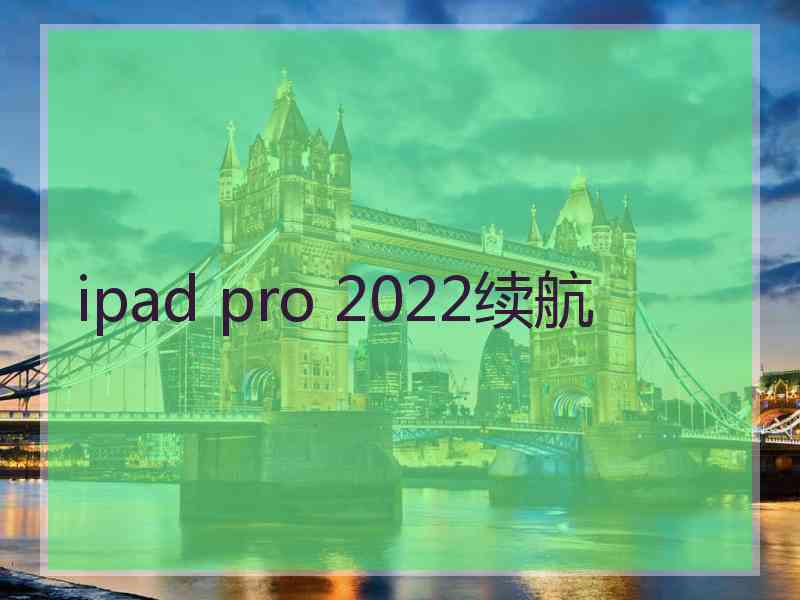 ipad pro 2022续航