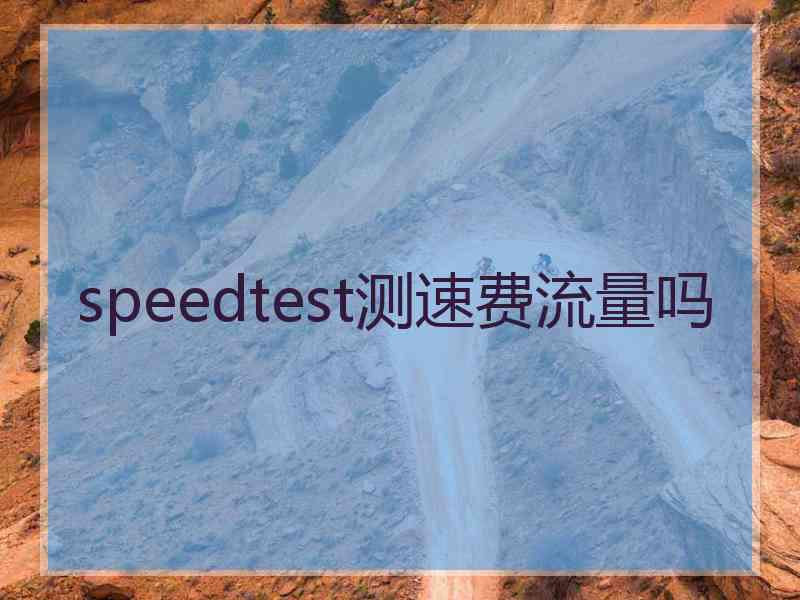 speedtest测速费流量吗