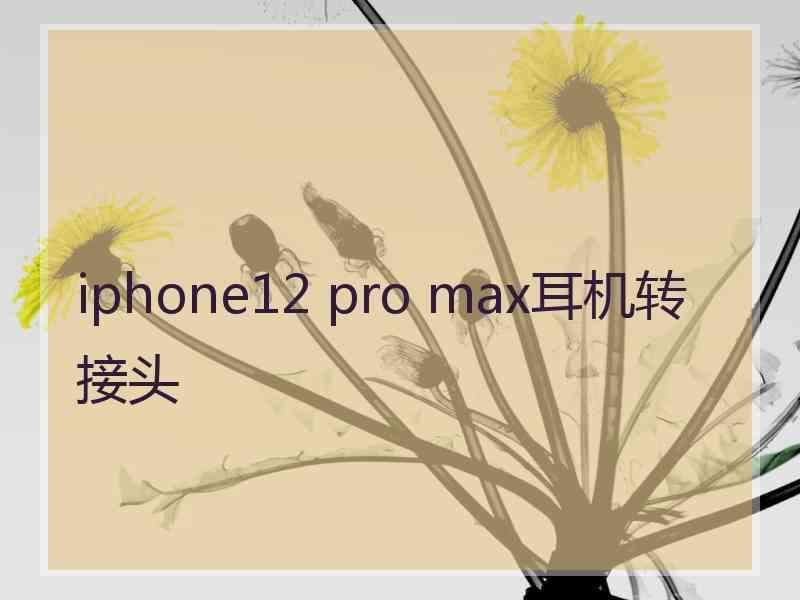 iphone12 pro max耳机转接头