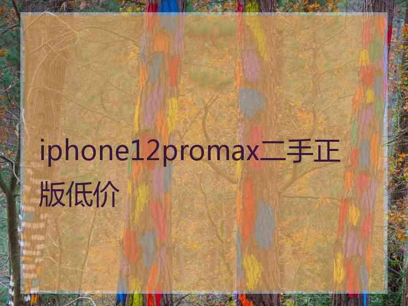 iphone12promax二手正版低价