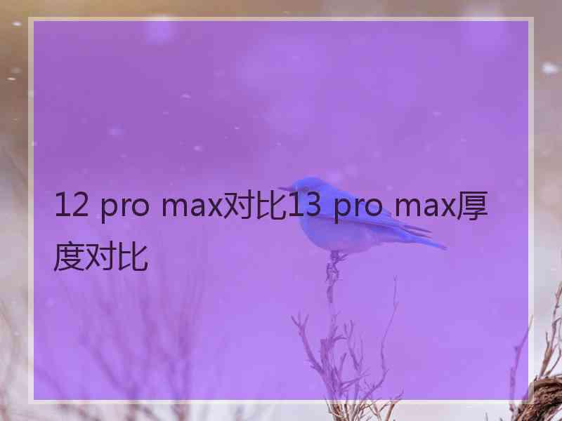 12 pro max对比13 pro max厚度对比