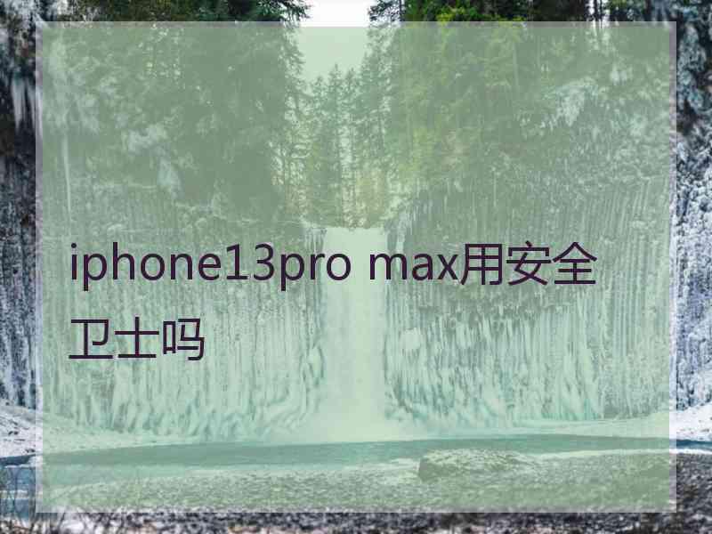 iphone13pro max用安全卫士吗