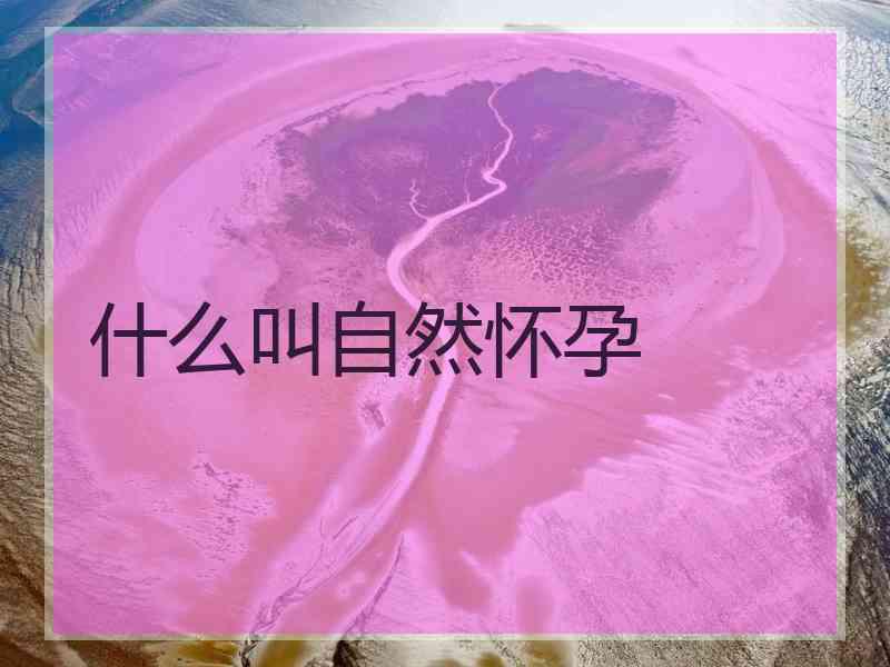 什么叫自然怀孕