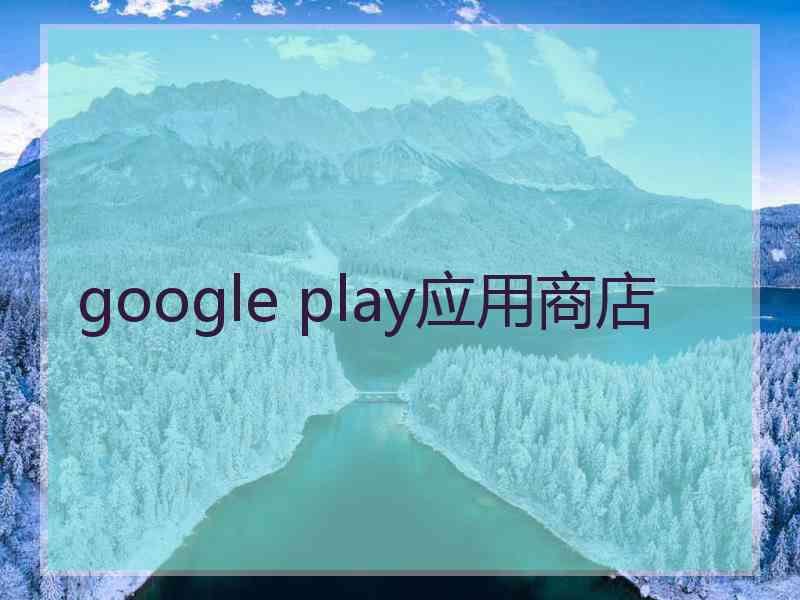 google play应用商店