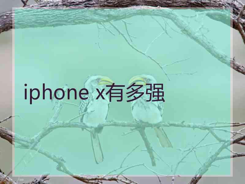 iphone x有多强