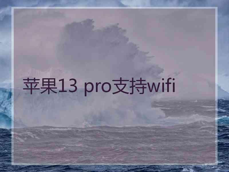 苹果13 pro支持wifi