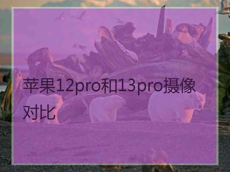 苹果12pro和13pro摄像对比