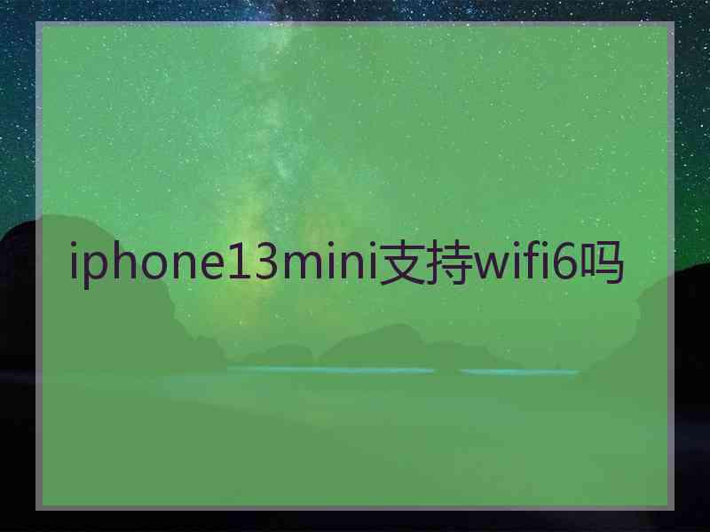 iphone13mini支持wifi6吗