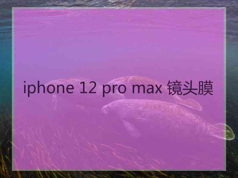 iphone 12 pro max 镜头膜