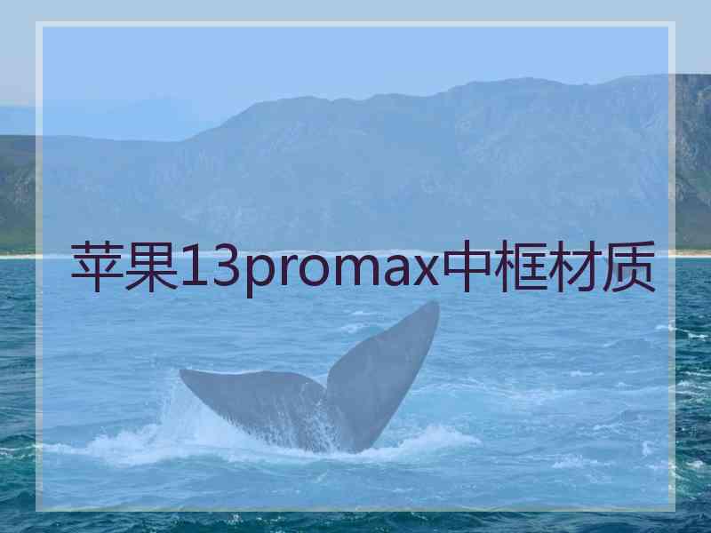 苹果13promax中框材质