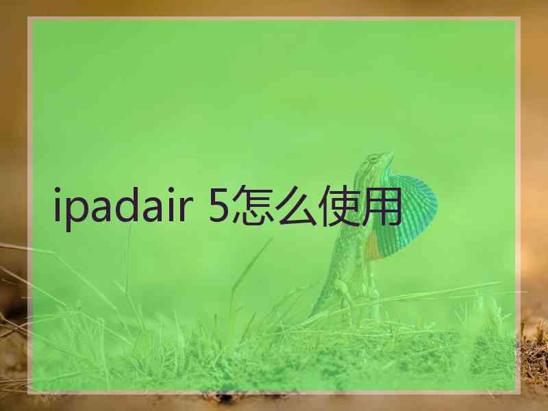 ipadair 5怎么使用