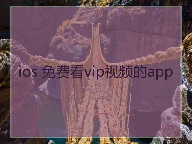 ios 免费看vip视频的app