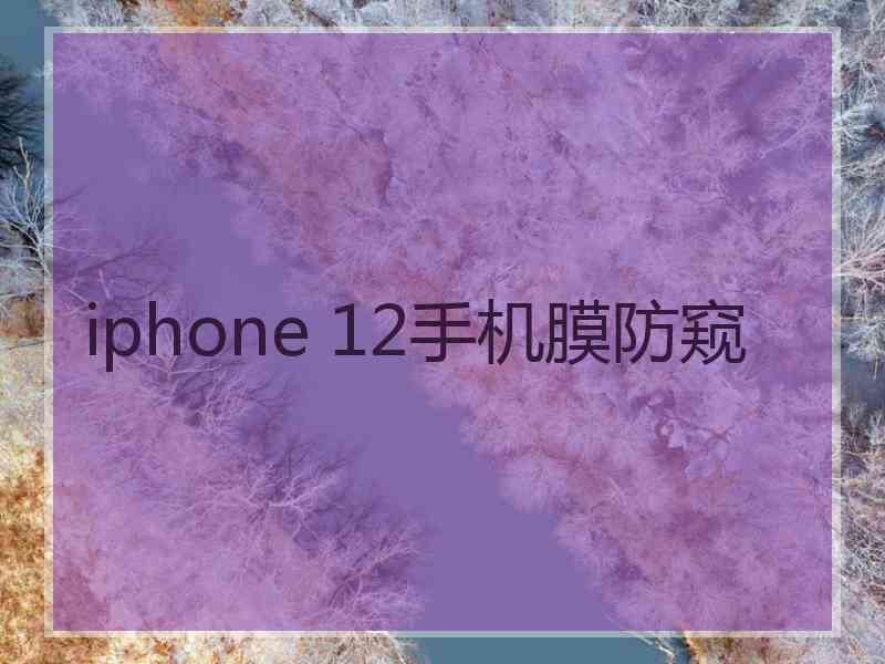 iphone 12手机膜防窥