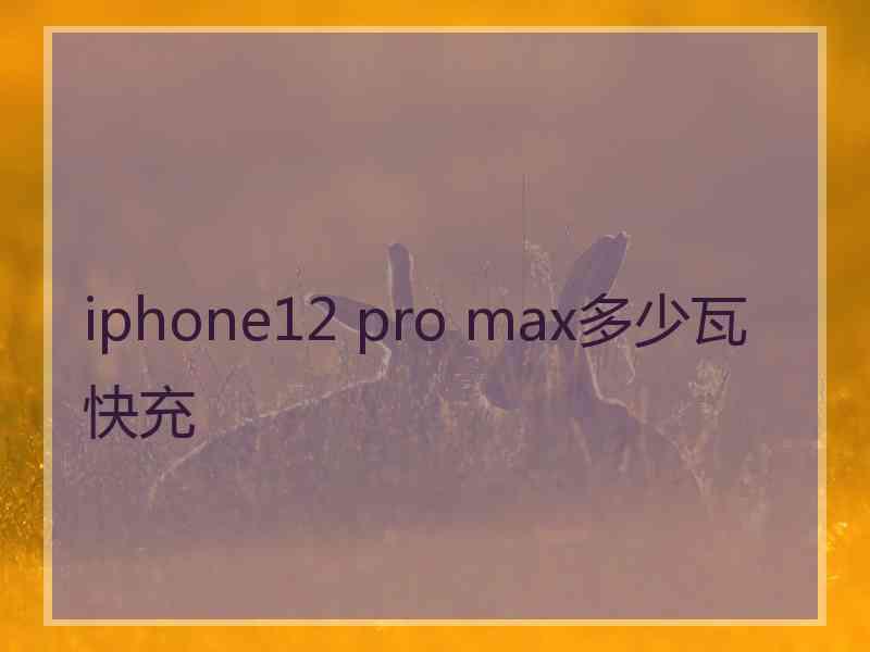 iphone12 pro max多少瓦快充