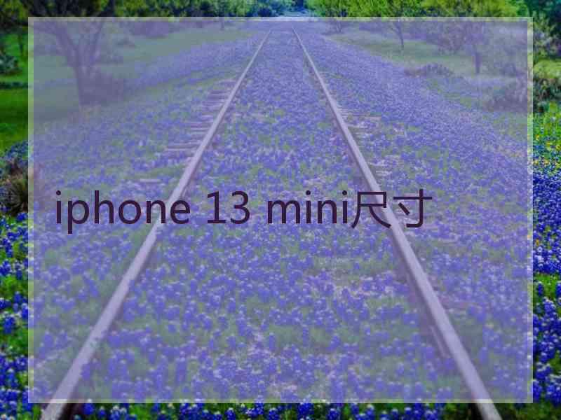 iphone 13 mini尺寸