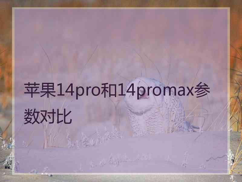 苹果14pro和14promax参数对比