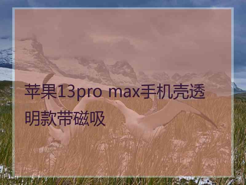 苹果13pro max手机壳透明款带磁吸