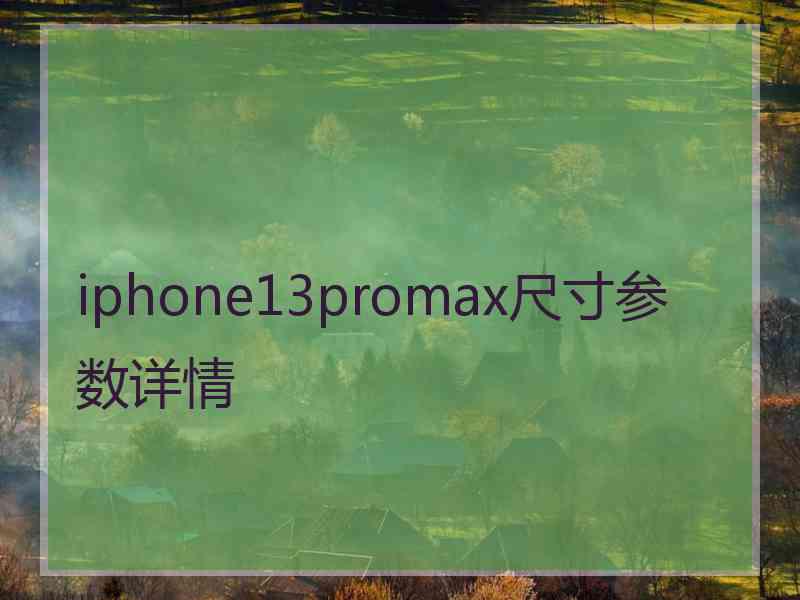 iphone13promax尺寸参数详情