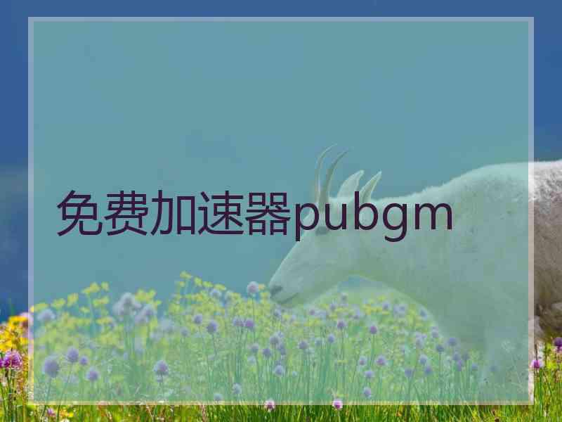 免费加速器pubgm