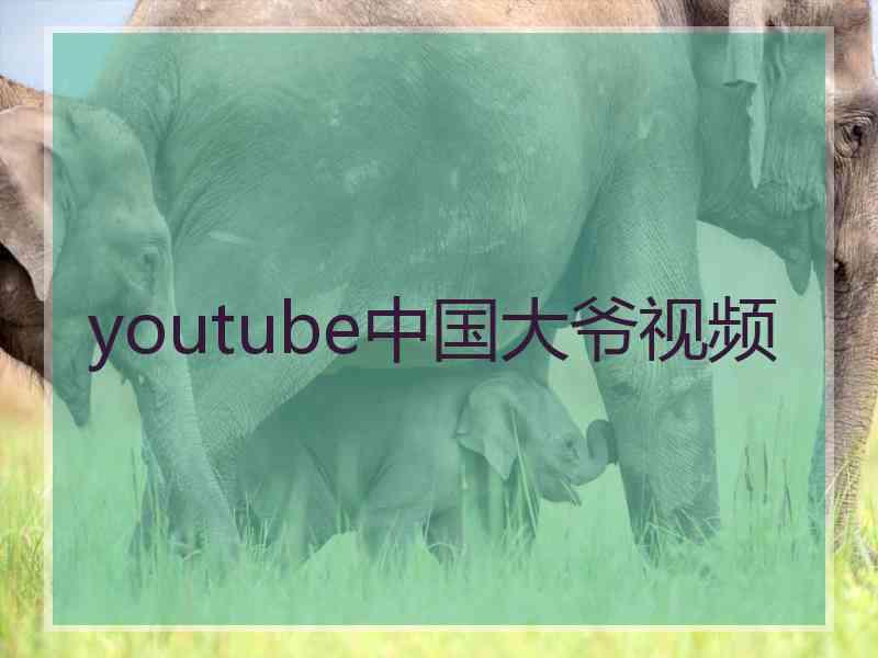 youtube中国大爷视频