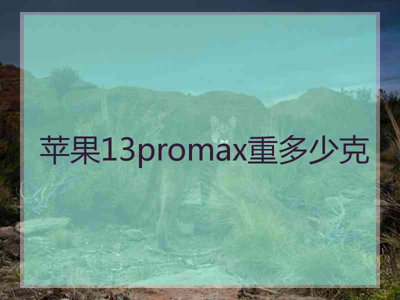 苹果13promax重多少克