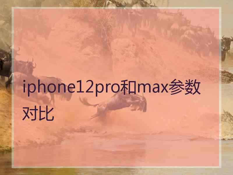 iphone12pro和max参数对比