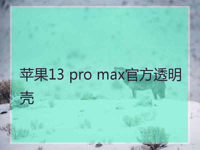 苹果13 pro max官方透明壳