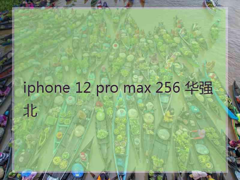 iphone 12 pro max 256 华强北