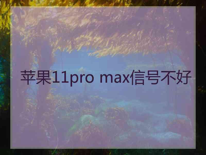 苹果11pro max信号不好