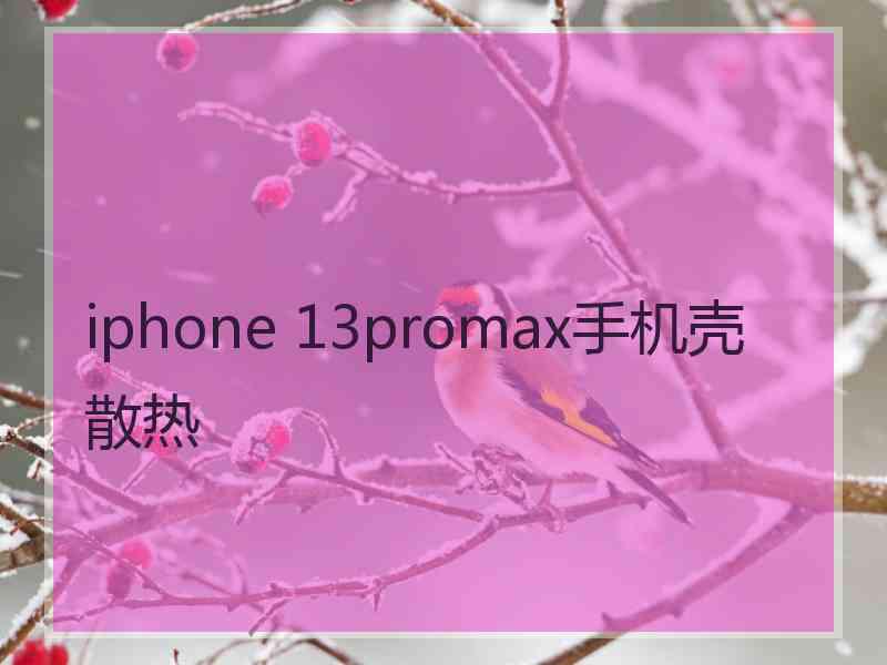 iphone 13promax手机壳 散热