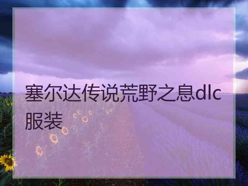 塞尔达传说荒野之息dlc服装