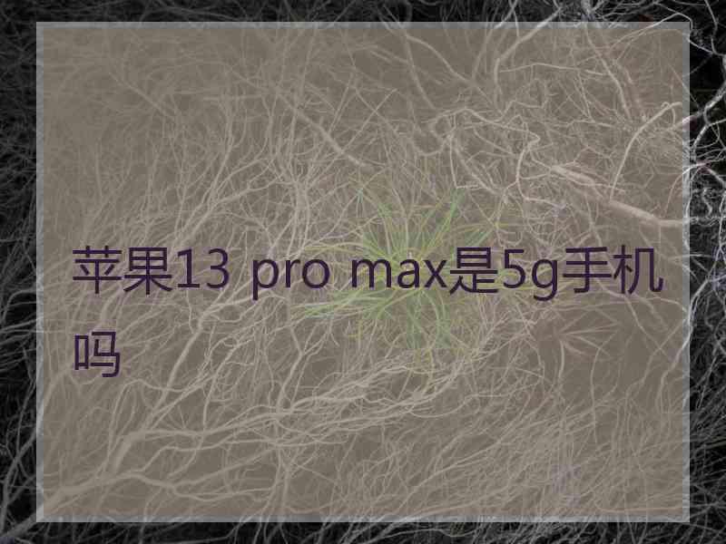 苹果13 pro max是5g手机吗