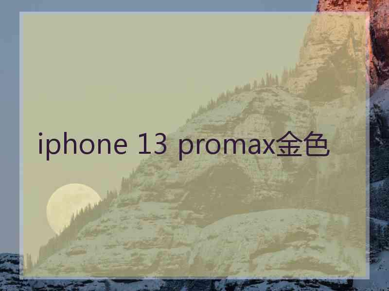 iphone 13 promax金色