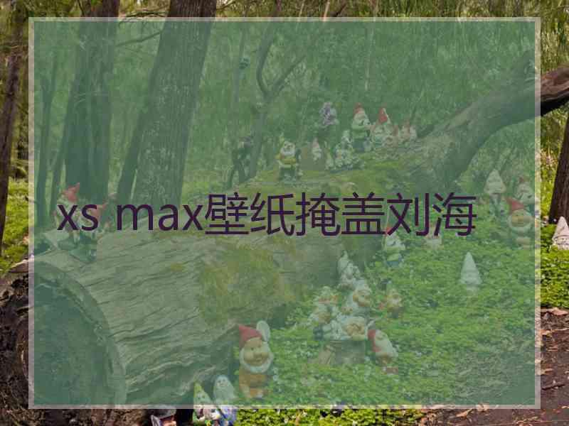 xs max壁纸掩盖刘海